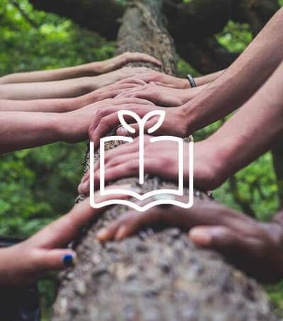 hands of people holding a tree branch