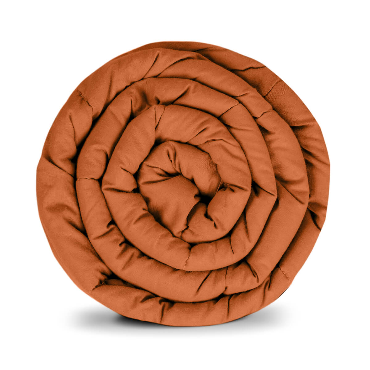 ginger-basic-gravite (1)